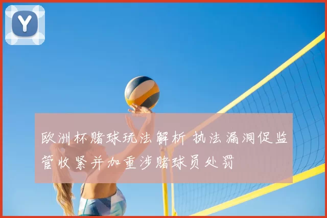 欧洲杯赌球玩法解析 执法漏洞促监管收紧并加重涉赌球员处罚