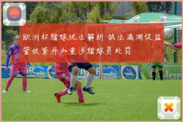 欧洲杯赌球玩法解析 执法漏洞促监管收紧并加重涉赌球员处罚